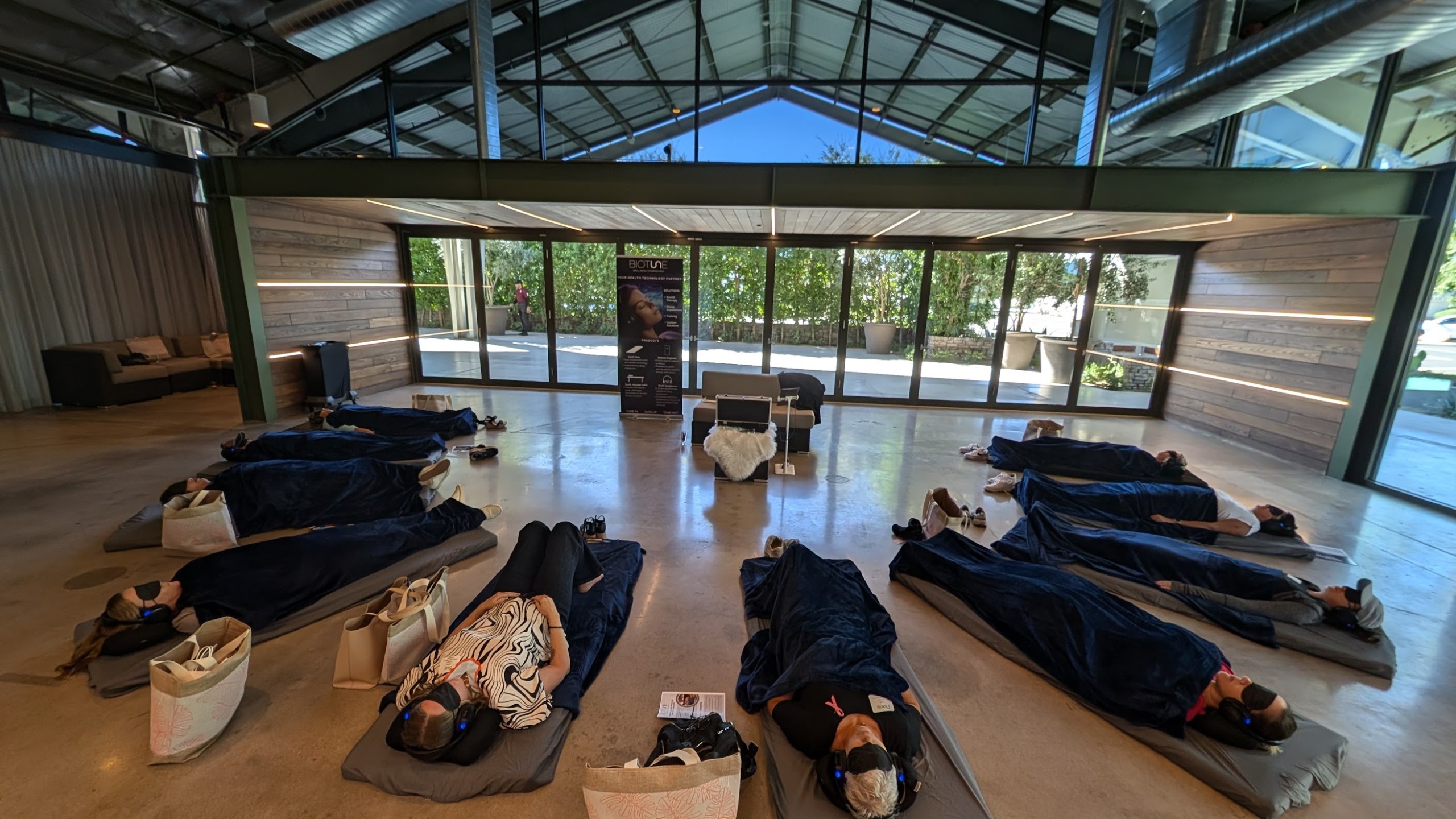 Vibro-acoustic experience